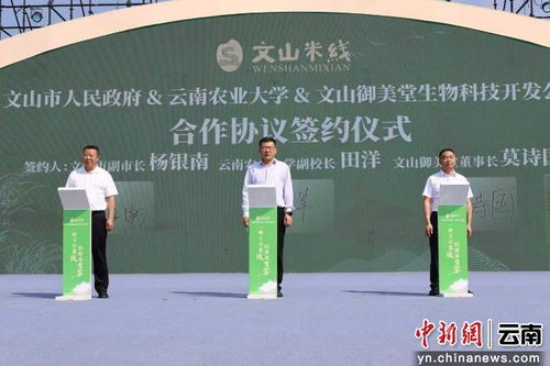 科技賦能傳統美食 云南農業大學科研助力文山米線產業升級紀實